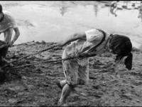 Lying Hiding and Faking – Learning Needs Hierarchy Battling the Great&nbsp;Leap